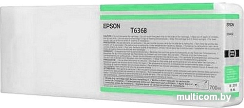 Картридж Epson C13T636B00