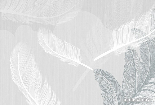 Фотообои Vimala Перья 21 270x400