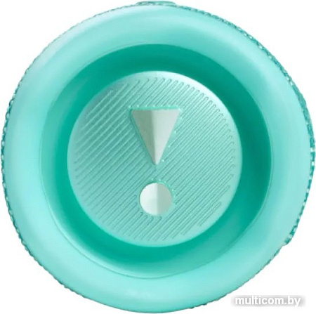 Беспроводная колонка JBL Flip 6 (бирюзовый)