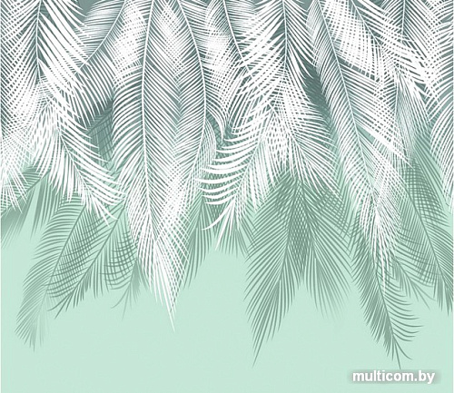 Фотообои Citydecor Пальмовые листья (бирюзовый) 300x270