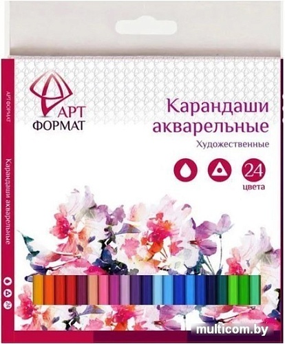 Набор акварельных карандашей АртФормат AF03-041-24