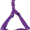 Шлея Humpo Бэнд L 20 мм 643020-ф (капроновый, фиолетовый)