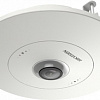 IP-камера Hikvision DS-2CD6365G0E-S/RC