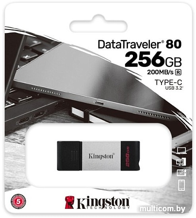USB Flash Kingston DataTraveler 80 256GB