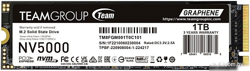 SSD Team NV5000 1TB TM8FGM001T0C101
