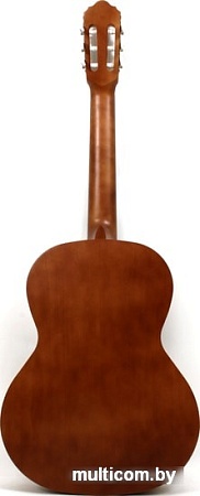 Акустическая гитара Kremona P650M