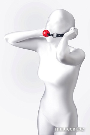 Кляп классический TOYFA 310303