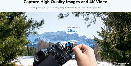 Карта памяти Lexar High-Performance 800x Pro SDXC LSD0800P256G-BNNNG 256GB