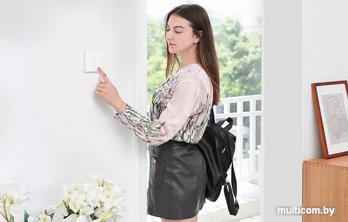 Пульт ДУ Aqara Wireless Remote Switch (2 кнопка)