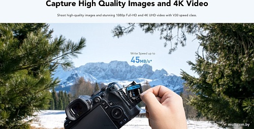 Карта памяти Lexar High-Performance 800x Pro SDXC LSD0800P256G-BNNNG 256GB