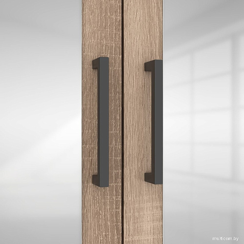 Шкаф распашной Mio Tesoro Хюгге 4D2S Z (дуб сонома)