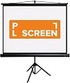 Проекционный экран PL Vista TR-NTSC-120D