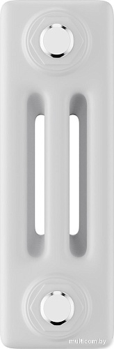 Стальной трубчатый радиатор Royal Thermo Insignia C3030 - 28 секций RAL9016