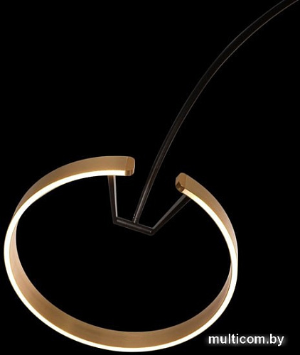 Торшер LOFT IT Ring 10027