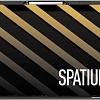 SSD MSI Spatium M461 1TB S78-440L1D0-P83