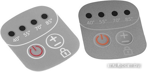 Электрический чайник RED Solution SkyKettle RK-G200S