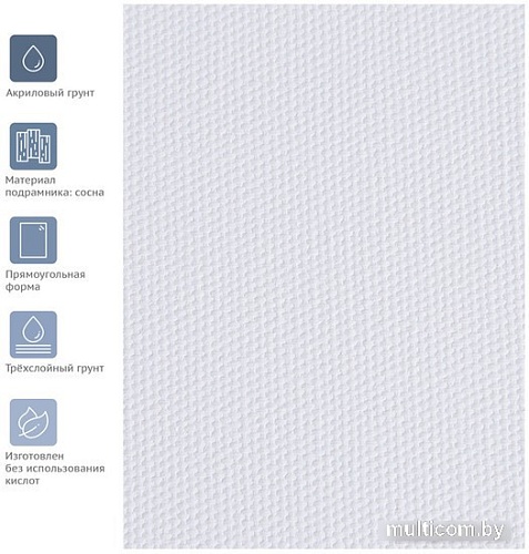 Холст для рисования Гамма Московская Палитра 80x100см 280818_29