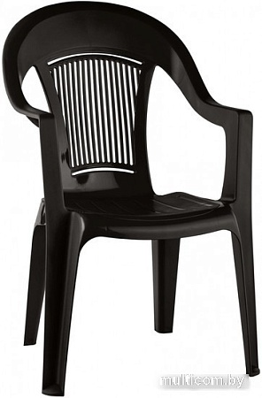 Стул Элластик-Пласт Элластик 41x55x91 (шоколад)