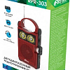 Радиоприемник Ritmix RPR-303