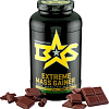 Протеин Binasport Extreme Mass Gainer (1500г, шоколад)