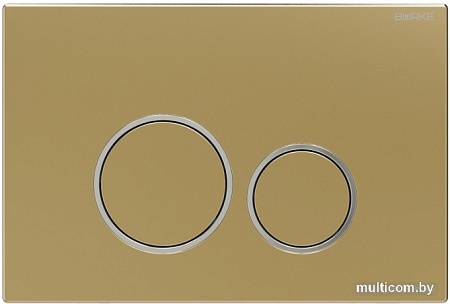Панель смыва Burke Тип 05 105.GH.1 (золото/хром глянцевый)