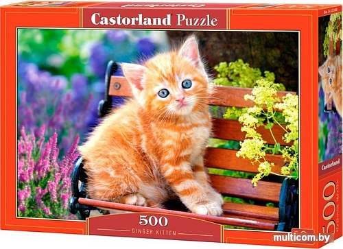 Пазл Castorland Котенок