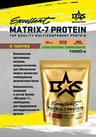 Протеин Binasport Excellent Matrix-7 Protein (1000г, имбирный пряник)