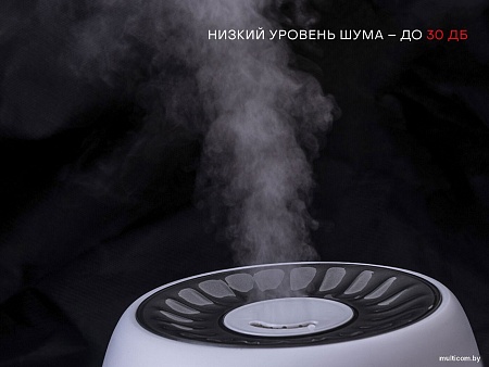 Увлажнитель воздуха Pioneer HDS31