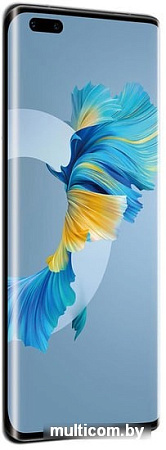 Смартфон Huawei Mate 40 Pro NOH-NX9 8GB/256GB (черный)