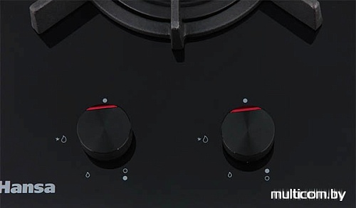 Варочная панель Hansa BHKS31038
