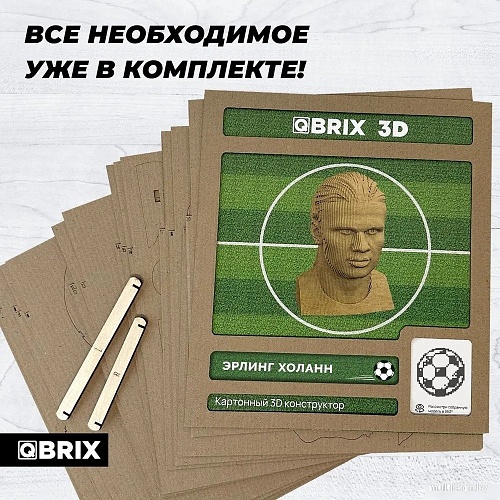 Конструктор QBRIX Эрлинг Холанн 3D 20055