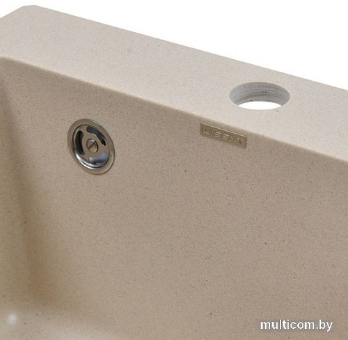 Кухонная мойка Wisent 420-30W (с сифоном GER013)