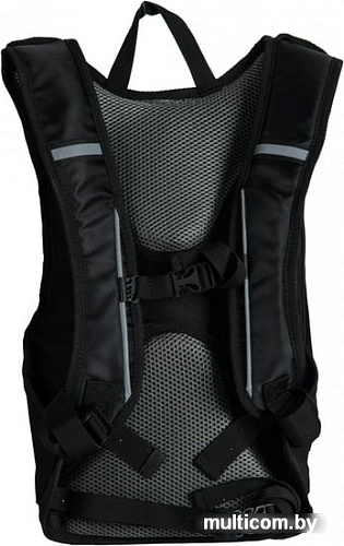 Рюкзак Paso 17-1608/R