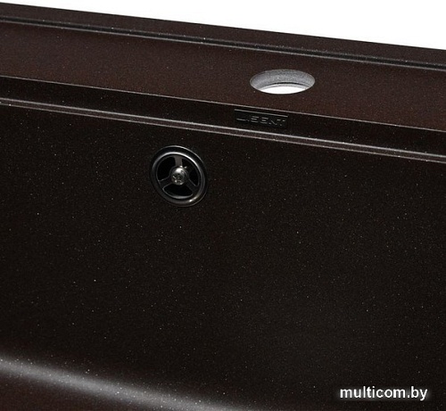 Кухонная мойка Wisent 600-27W (с сифоном GER013)