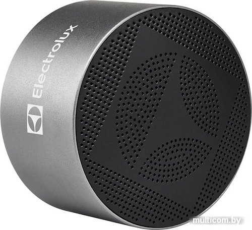 Беспроводная колонка Electrolux Mini Beat