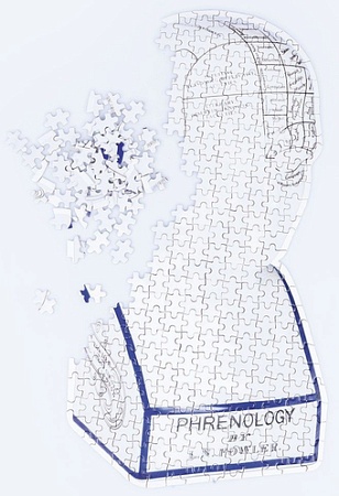 Пазл Doiy Phrenology