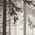 Фотообои Citydecor Dark Side 35 300x150