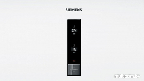 Холодильник Siemens KG39EAW21R