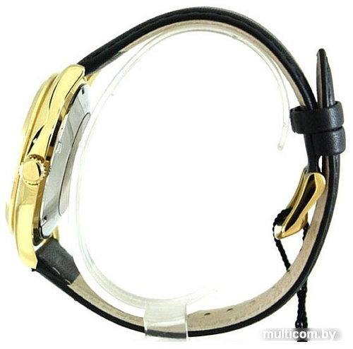 Наручные часы Orient FER2C003W