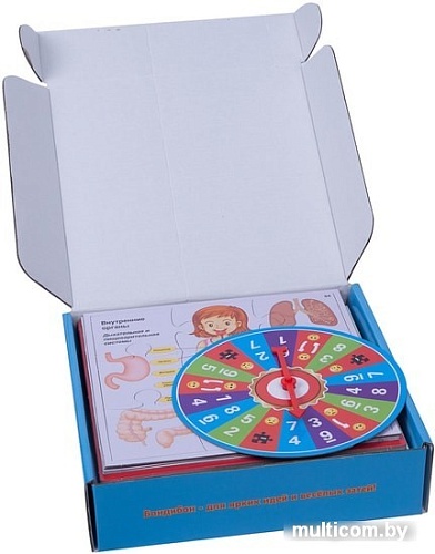 Развивающая игра Bondibon Веселая анатомия ВВ3792