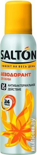 Дезодорант Salton Эффект на весь день 150 мл