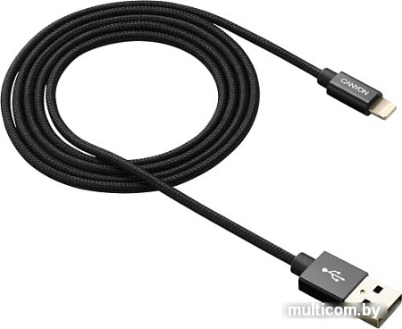 Кабель Canyon CNS-MFIC3B