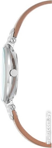 Наручные часы Anne Klein 2619SVTN