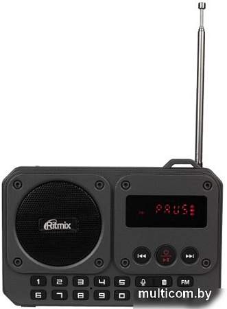 Радиоприемник Ritmix RPR-010