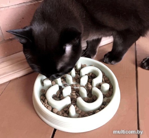 Миска TarHong Slow Chow 700 мл (белый)