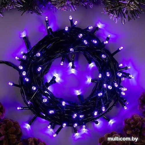 Гирлянда Luazon Нить 100 LED 10м (фиолетовый) 3556791