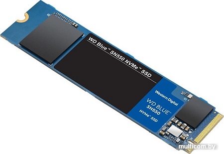 SSD WD Blue SN550 NVMe 250GB WDS250G2B0C