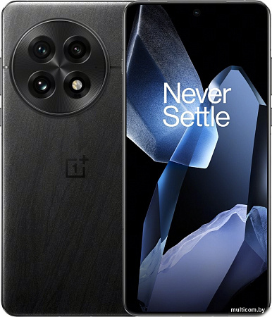 Смартфон OnePlus 13 16GB/512GB международная версия (черный)