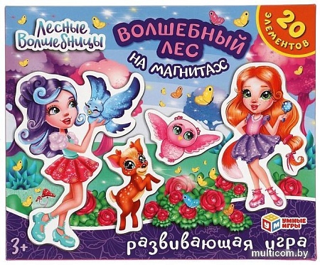 Магниты для магнитной доски Умные игры Лесные волшебницы. Волшебный лес 4680107925077