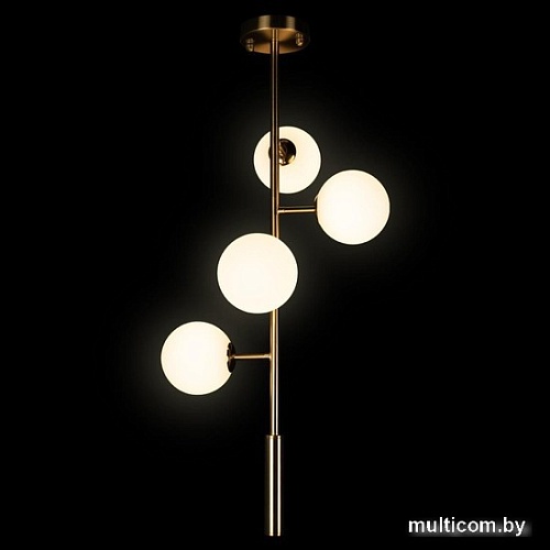 Подвесная люстра LOFT IT Tely 10236/4